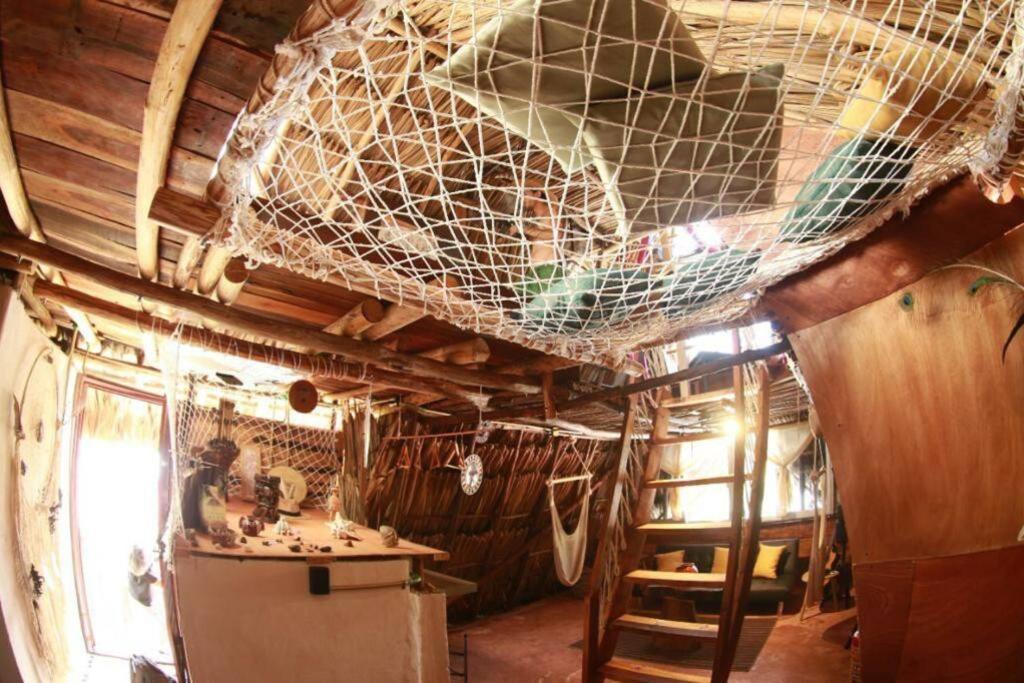 Jungla Bacalar Apartman Kültér fotó