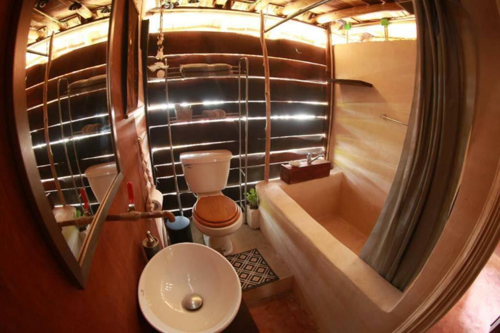 Jungla Bacalar Apartman Kültér fotó