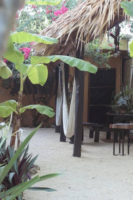 Jungla Bacalar Apartman Kültér fotó