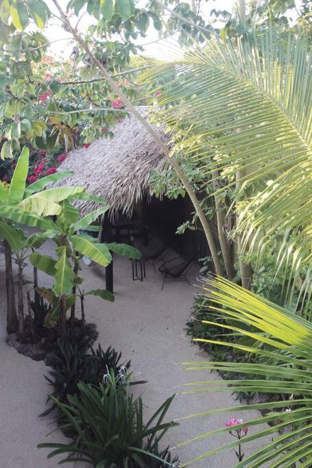 Jungla Bacalar Apartman Kültér fotó