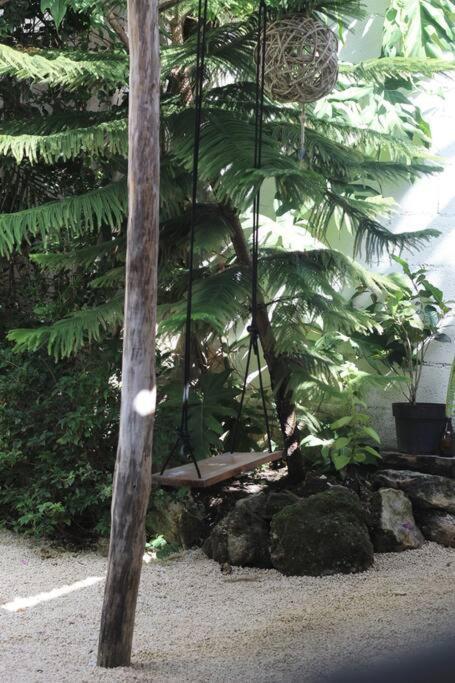 Jungla Bacalar Apartman Kültér fotó
