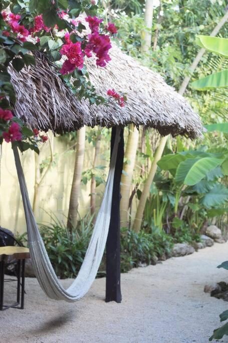 Jungla Bacalar Apartman Kültér fotó