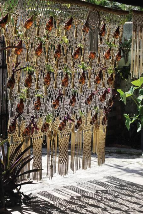 Jungla Bacalar Apartman Kültér fotó