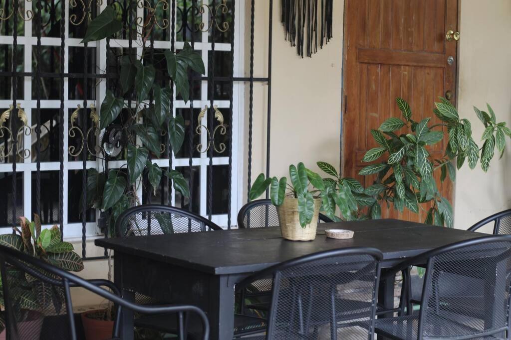 Jungla Bacalar Apartman Kültér fotó