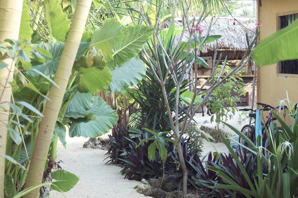 Jungla Bacalar Apartman Kültér fotó
